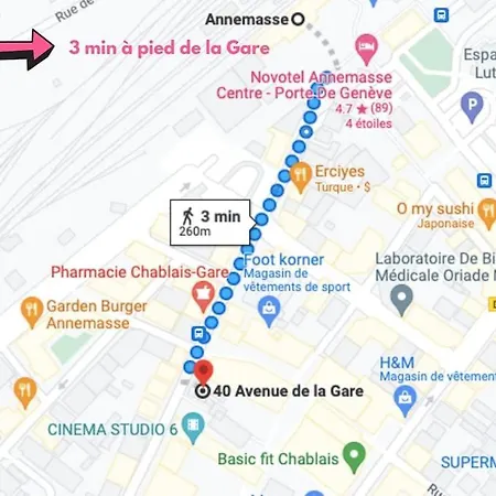 Cocon - Gare A 3min-geneve Acces Direct Annemasse